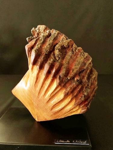 Spondilus ( precolumbian sea shell) thumb