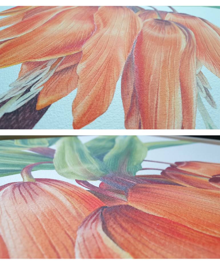 Original Classicism Botanic Painting by Youdesignme Kristin