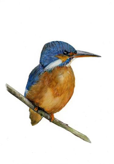 Original Realism Animal Paintings by Maria Chandy