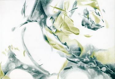 Original Nature Drawing by Liesje van den Berk