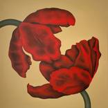 Collection Florals Inspired by Georgia O’Keeffe