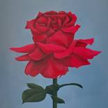 Collection Conversation Starters