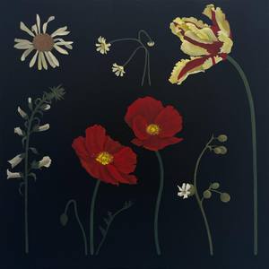Collection New This Week 02-03-2025