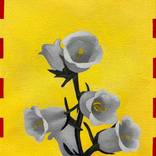 Checkered Bellflowers by Yoojin Shin