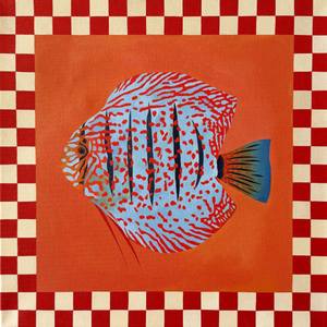 Discus Fish I