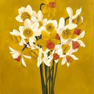 Daffodils V