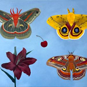 Moth Study I