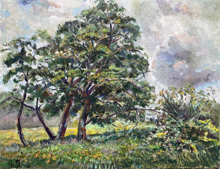 Original Landscape Painting by Zurab Sharvadze | Expressionism Art on Canvas | At the Lipi Lake Before the Rain Countryside Landscape