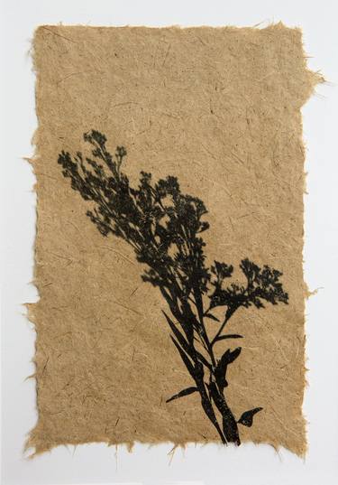 Threatened Houghton's goldenrod (Solidago houghtonii) on reed canarygrass (Phalaris arundinacea) paper thumb