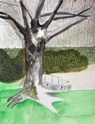 Original Tree Paintings by Diana de Molinari