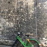 green ride by bari wieselman schulman
