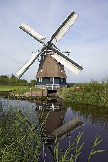 Dutch Windmill in Nature thumb