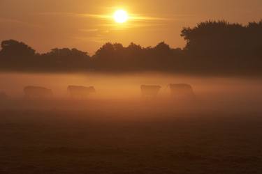 Print of Documentary Landscape Photography by Sash Alexander