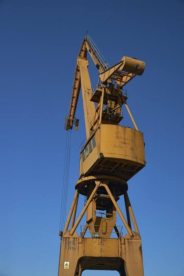 The Crane - Limited Edition of 10 thumb
