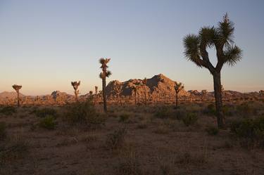 Original Documentary Landscape Photography by Sash Alexander