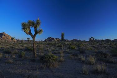 Original Documentary Landscape Photography by Sash Alexander