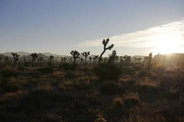 Original Documentary Landscape Photography by Sash Alexander