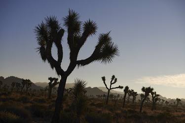 Original Documentary Landscape Photography by Sash Alexander