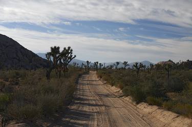 Print of Documentary Landscape Photography by Sash Alexander