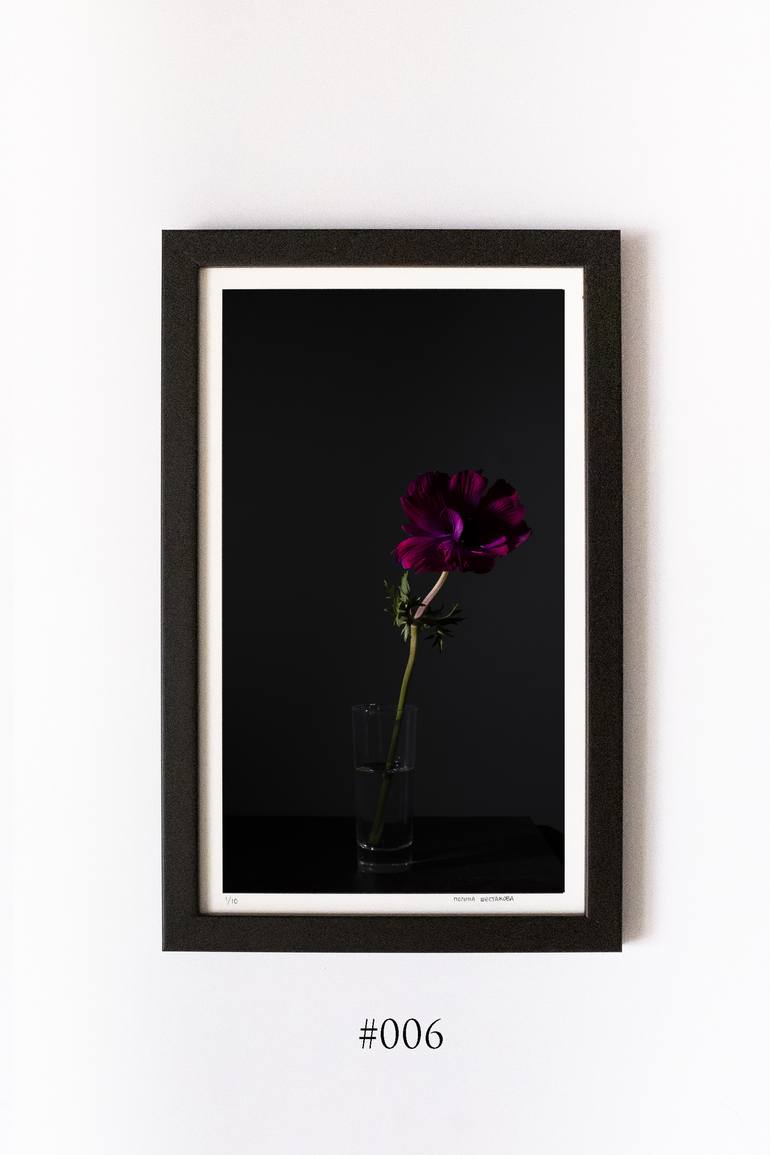 Original Fine Art Floral Photography by Polina Shestakova