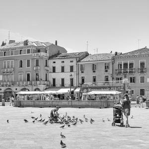 Collection Black & White