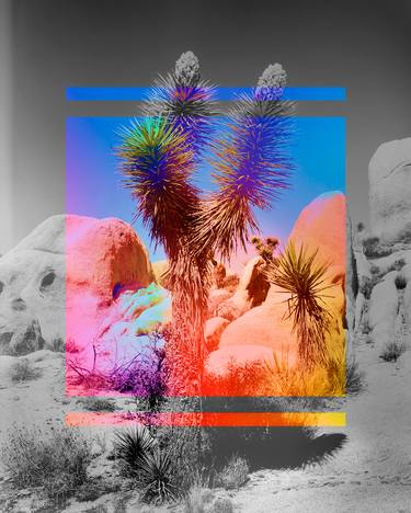 Prismatic Gate, Joshua Tree II - Limited Edition of 25 thumb