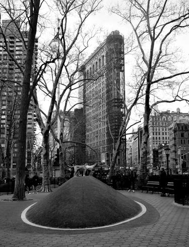 New York-Flatiron Building and Madison Square Park Dogs thumb