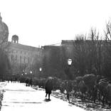 Vienna Volkgarten-A Stroll In The Park