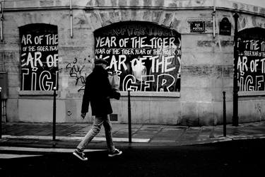 " Paris-Year Of The Tiger " thumb