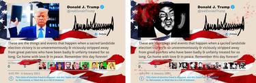 "Trump – Patriots and Fascists", 2021 – Diptych – also sold separately upon request - Limited Edition of 500 thumb