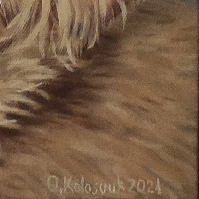 Original Photorealism Dogs Painting by Oksana Kolosyuk