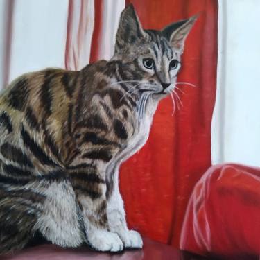 Print of Photorealism Cats Paintings by Oksana Kolosyuk