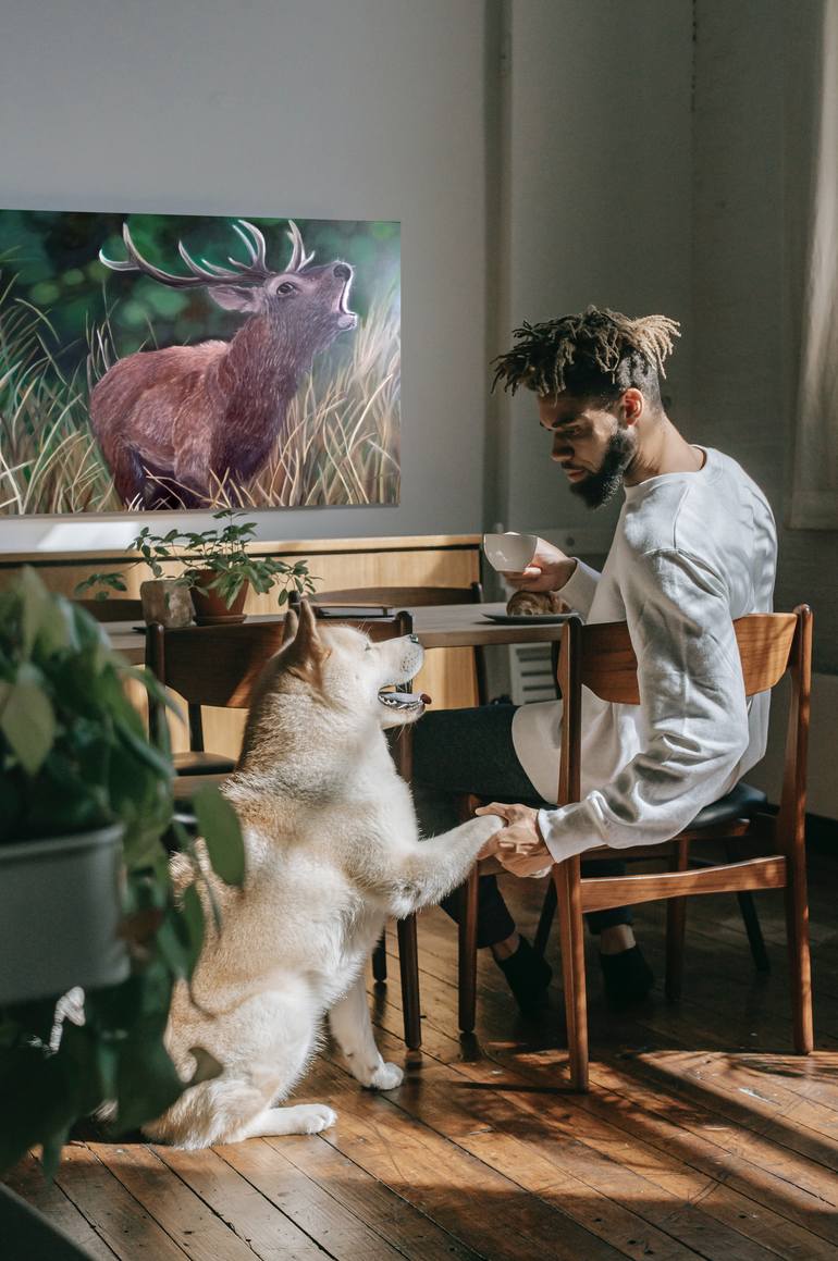 Original Realism Animal Painting by Oksana Kolosyuk