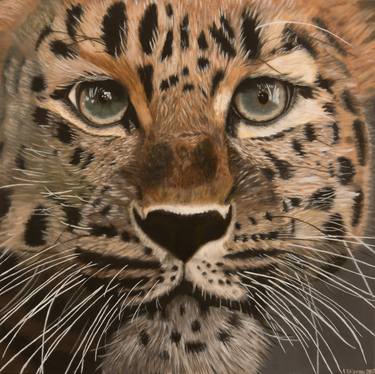 Original Photorealism Animal Paintings by Oksana Kolosyuk