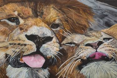 Original Photorealism Animal Paintings by Oksana Kolosyuk