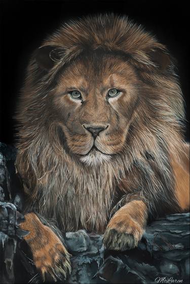 Original Realism Animal Paintings by Najaah McLaren