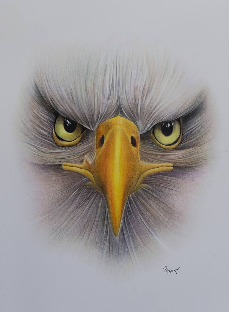 How To Draw A Realistic Eagle