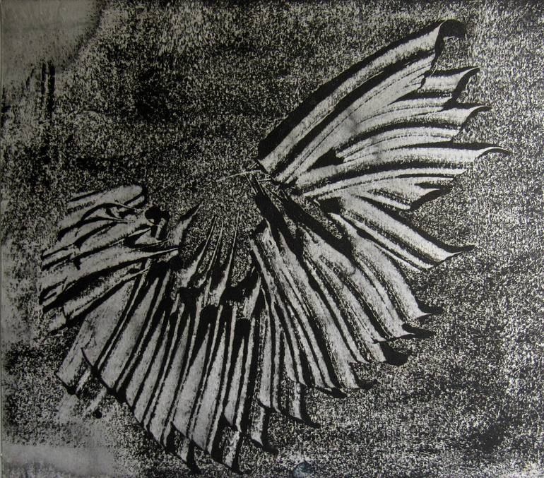 broken wing drawing