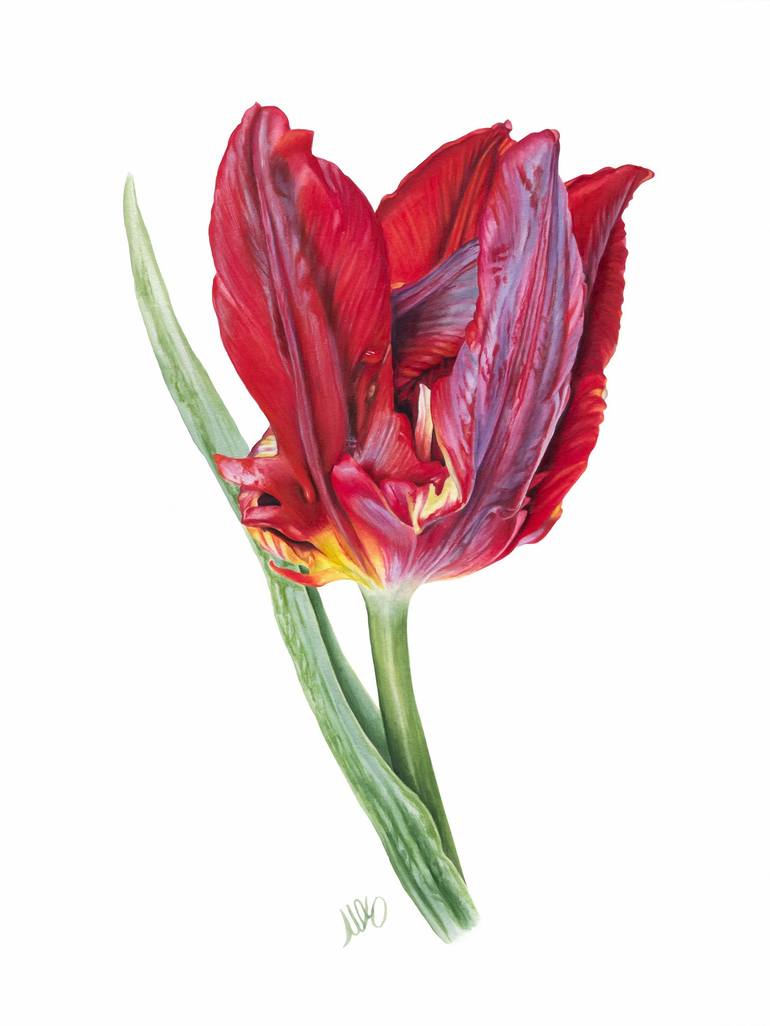Botanical Watercolor Tulip Holland Happening Painting by Yulia Shabrova ...