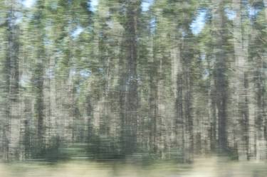 Print of Abstract Expressionism Nature Photography by Sandra Hazenberg