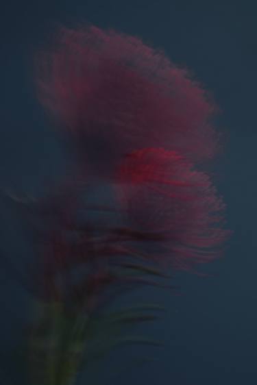 Original Abstract Expressionism Floral Photography by Kateryna Kutsevol