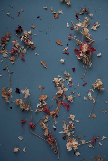 Original Abstract Floral Photography by Kateryna Kutsevol