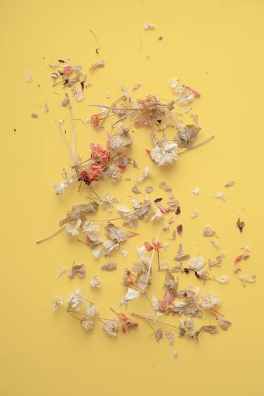 Original Abstract Floral Photography by Kateryna Kutsevol
