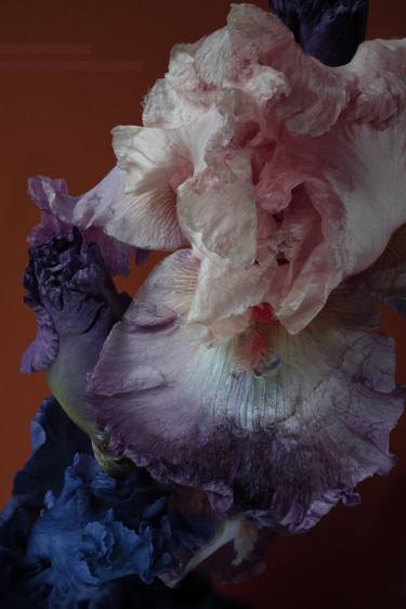 Original Abstract Expressionism Floral Photography by Kateryna Kutsevol