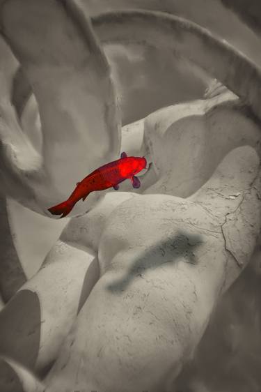 Original Abstract Fish Photography by Kateryna Kutsevol