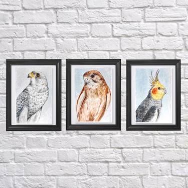 set of 3 watercolor painting bird art thumb