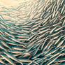 Close up of the fish swirl