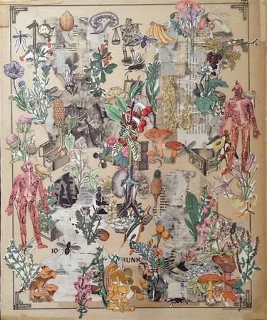 Print of Dada Body Collage by Matthew Rose