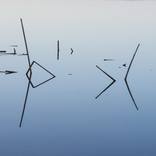 Collection Zen and the poetry of physics