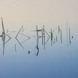 Collection Zen and the poetry of physics
